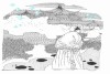 ni_zhi_kan_dao_wang_bo_de_cai_hua_que_bu_zhi_teng_wang_ge_xu_de_bei_ju