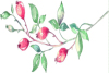zui_jin_sheng_huo_zhong_rang_ni_gan_wu_zui_shen_de_yi_ge_dao_li_shi_shen_me