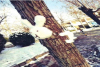 peng_you_quan_de_xue_ren_da_sai_zhe_jie_de_wang_you_nao_dong_tai_da
